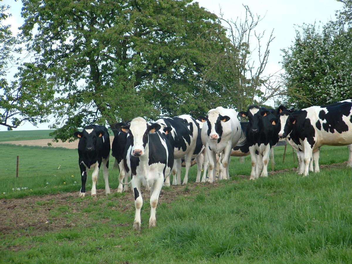Battery Valley Farm Grandcourt  Luaran gambar